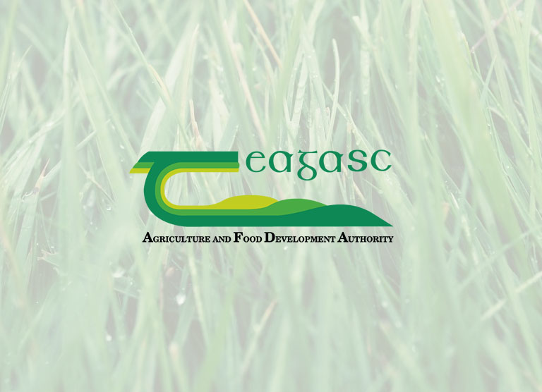 Teagasc Teagasc