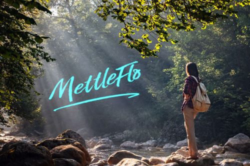 MettleFlo Logo