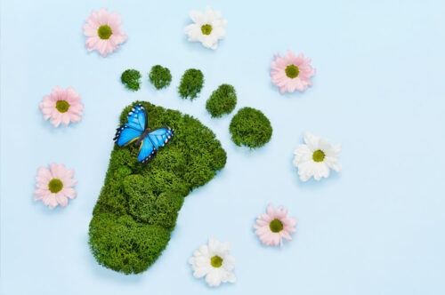 Cutting Your Carbon Footprint