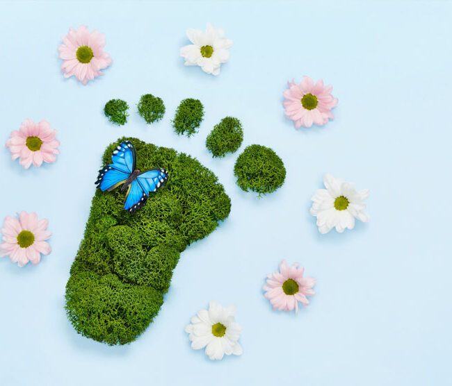 Cutting Your Carbon Footprint