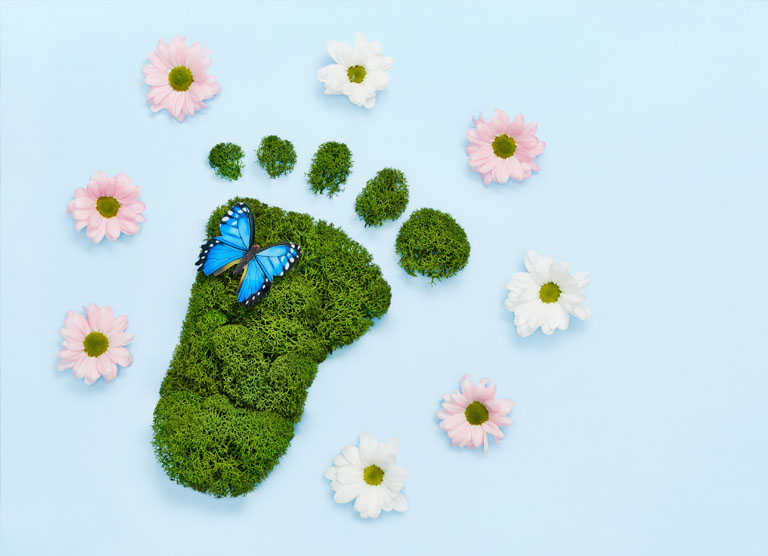 Cutting your carbon footprint
