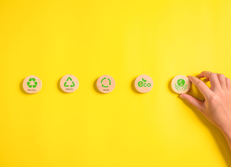 Sustainability training in Ireland