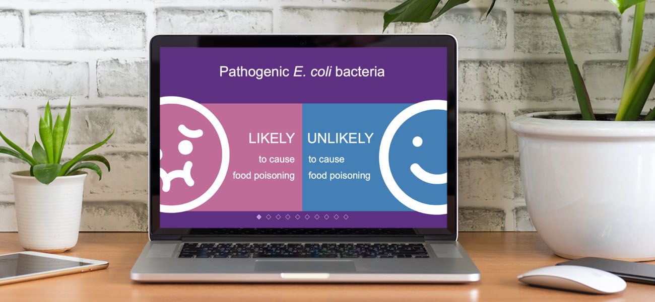 Screenshot: Food Safety ELearning