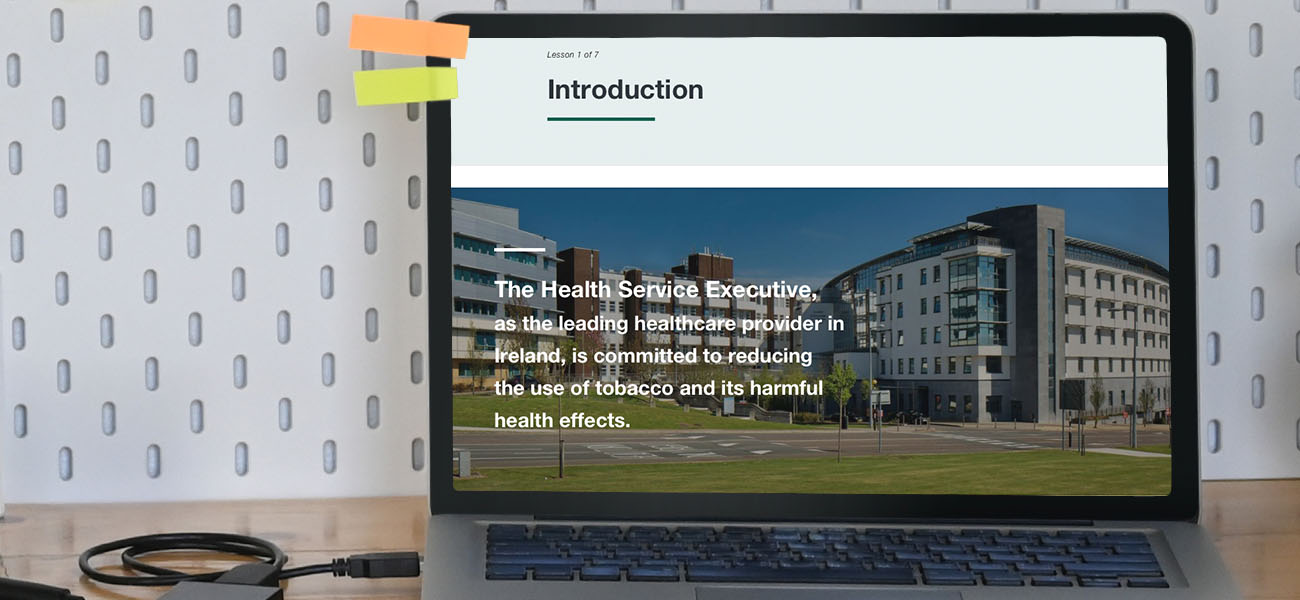 Screenshot: HSE Tobacco Free Campus ELearning