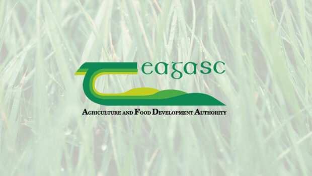 Teagasc