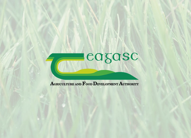 Teagasc