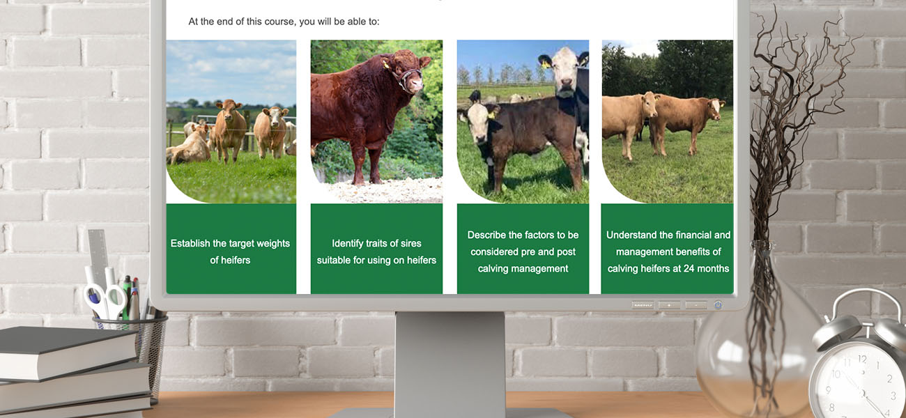 Screenshot: Farming eLearning